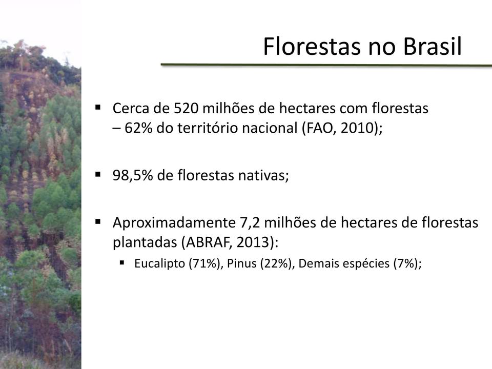florestas nativas; Aproximadamente 7,2 milhões de hectares de