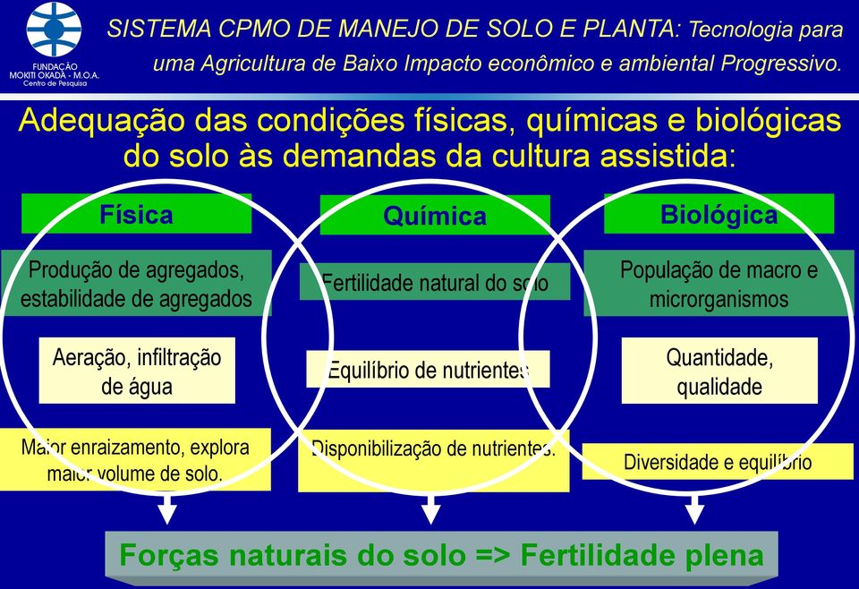 agregados Aeração, infiltração de água Química Fertilidade natural do solo Equilíbrio de nutrientes Biológica População de macro e microrganismos