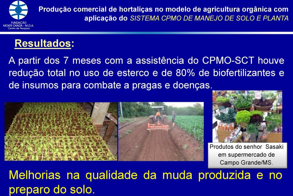 total no uso de esterco e de 80% de biofertilizantes e de insumos para combate a pragas e doenças.