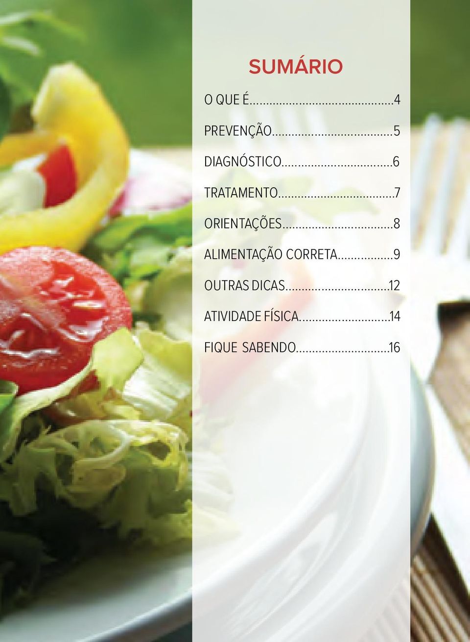 ..7 ORIENTAÇÕES...8 ALIMENTAÇÃO CORRETA.