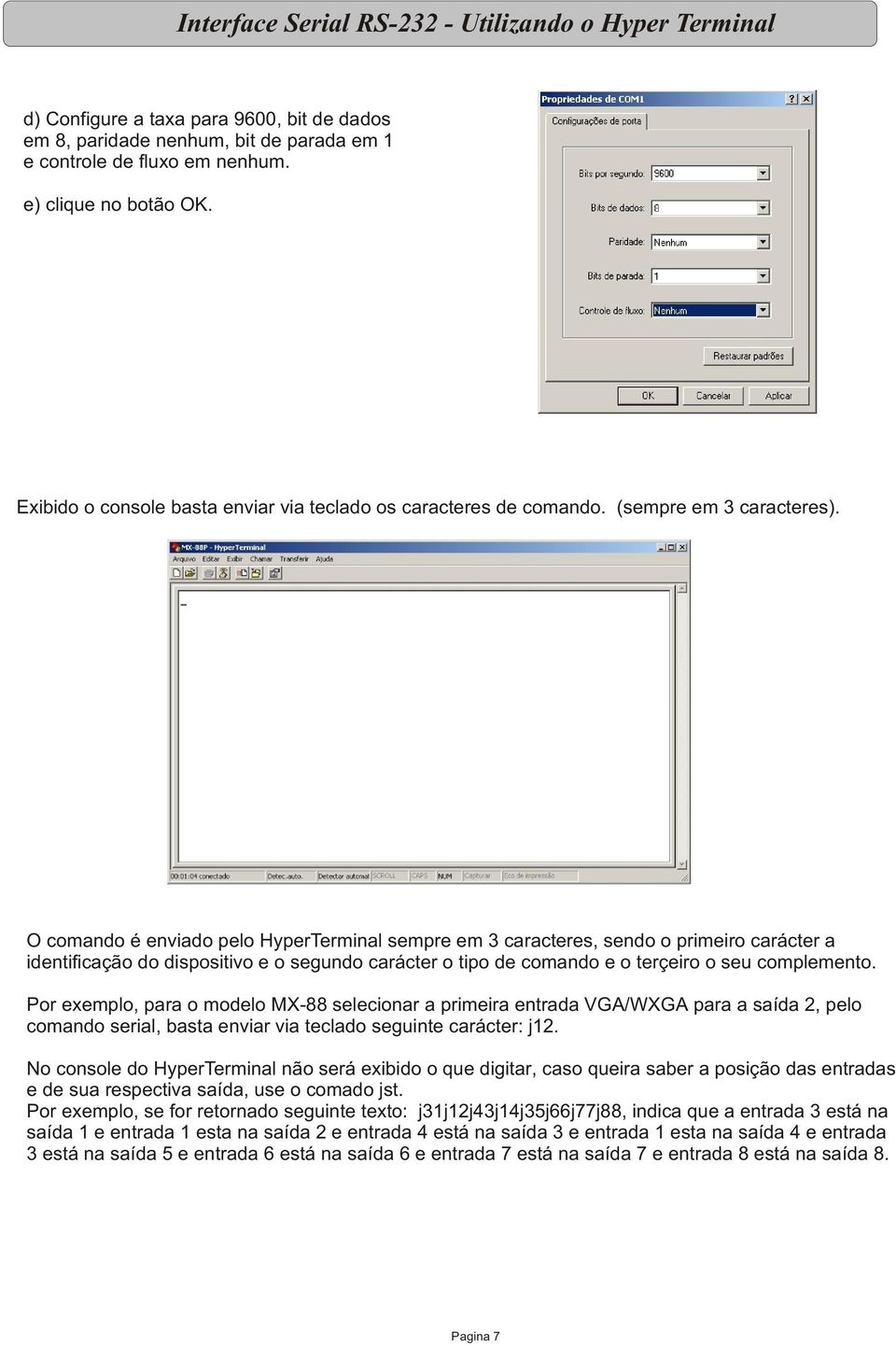 O comando é enviado pelo HyperTerminal sempre em 3 caracteres, sendo o primeiro carácter a identificação do dispositivo e o segundo carácter o tipo de comando e o terçeiro o seu complemento.