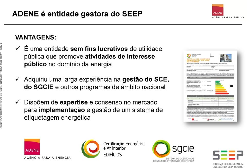 experiência na gestão do SCE, do SGCIE e outros programas de âmbito nacional Dispõem de