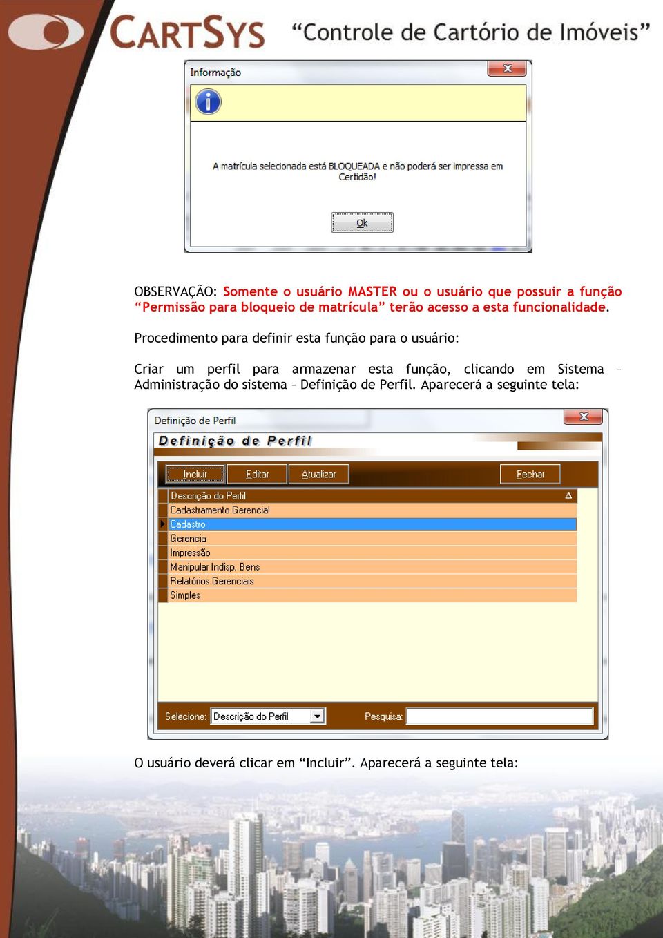 Procedimento para definir esta função para o usuário: Criar um perfil para armazenar esta função,