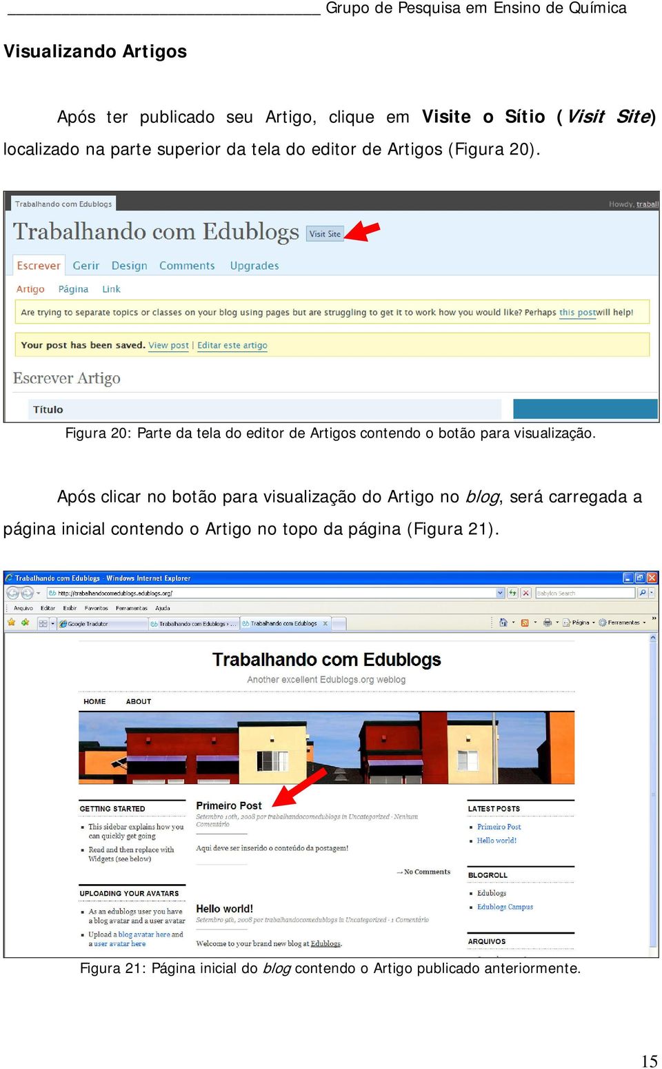 Figura 20: Parte da tela do editor de Artigos contendo o botão para visualização.
