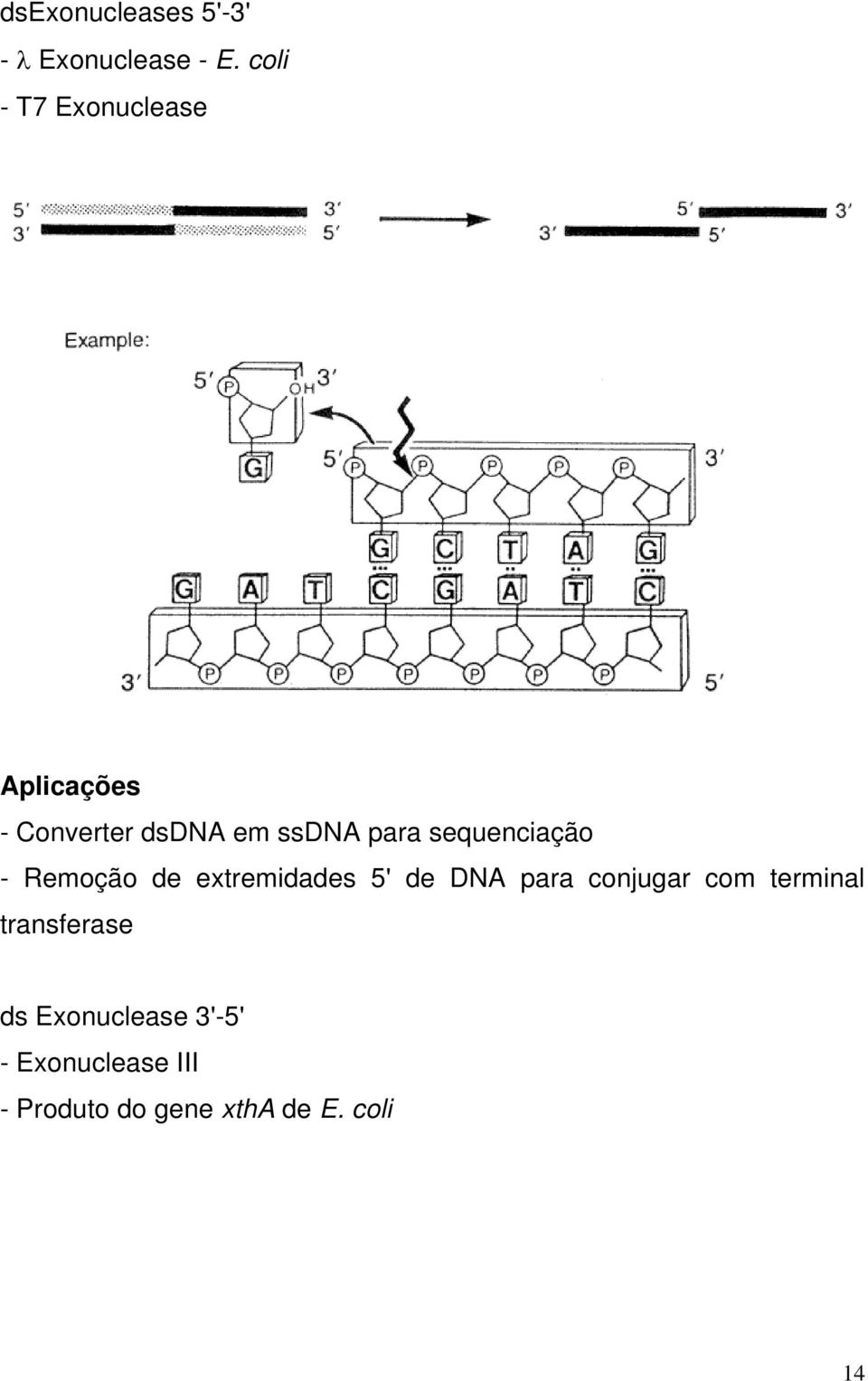 sequenciação - Remoção de extremidades 5' de DNA para conjugar com