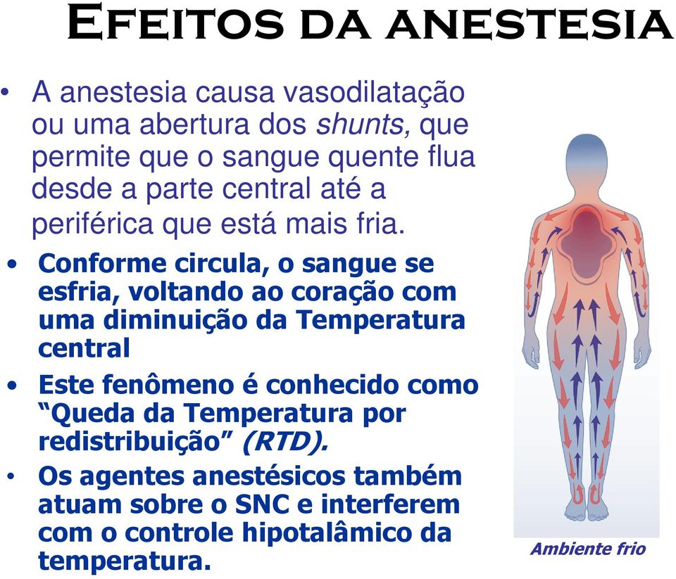 Conforme circula, o sangue se esfria, voltando ao coração com uma diminuição da Temperatura central Este fenômeno é