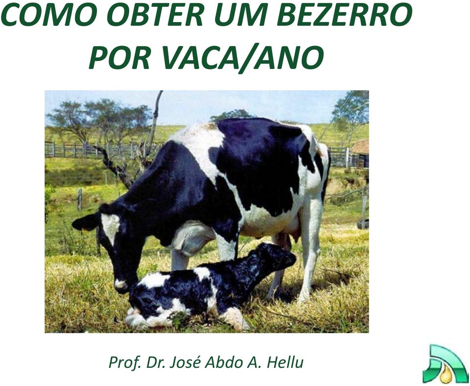 VACA/ANO Prof.