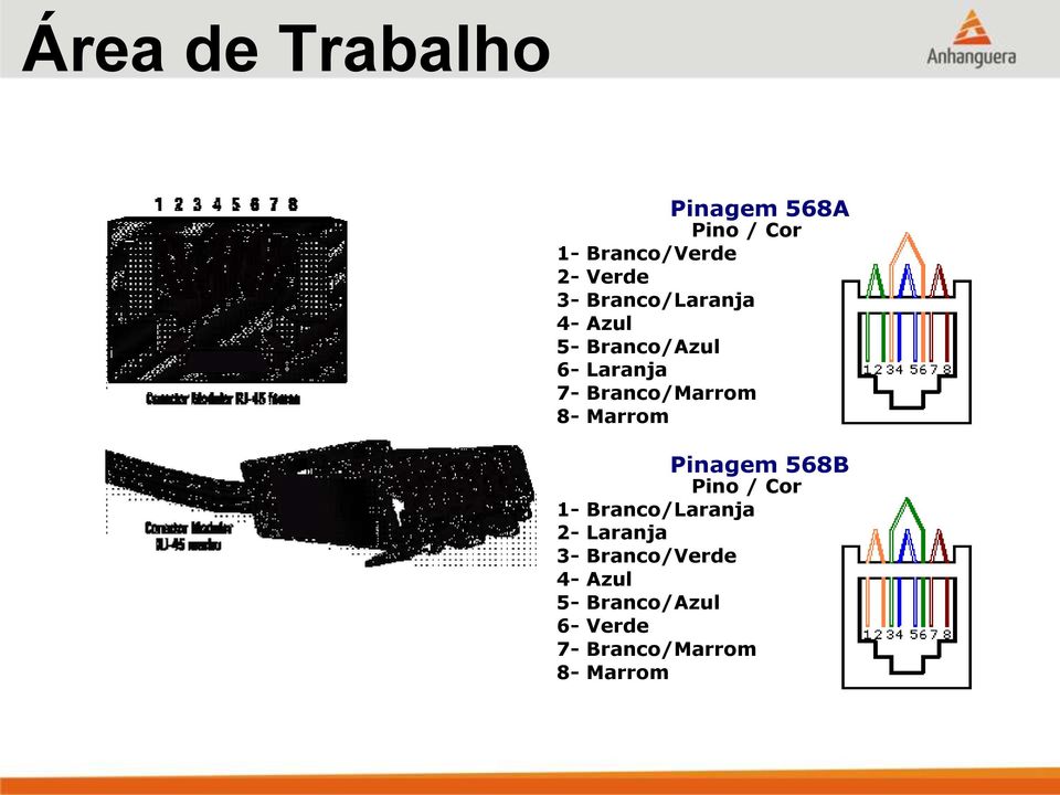 Branco/Marrom 8- Marrom Pinagem 568B Pino / Cor 1- Branco/Laranja