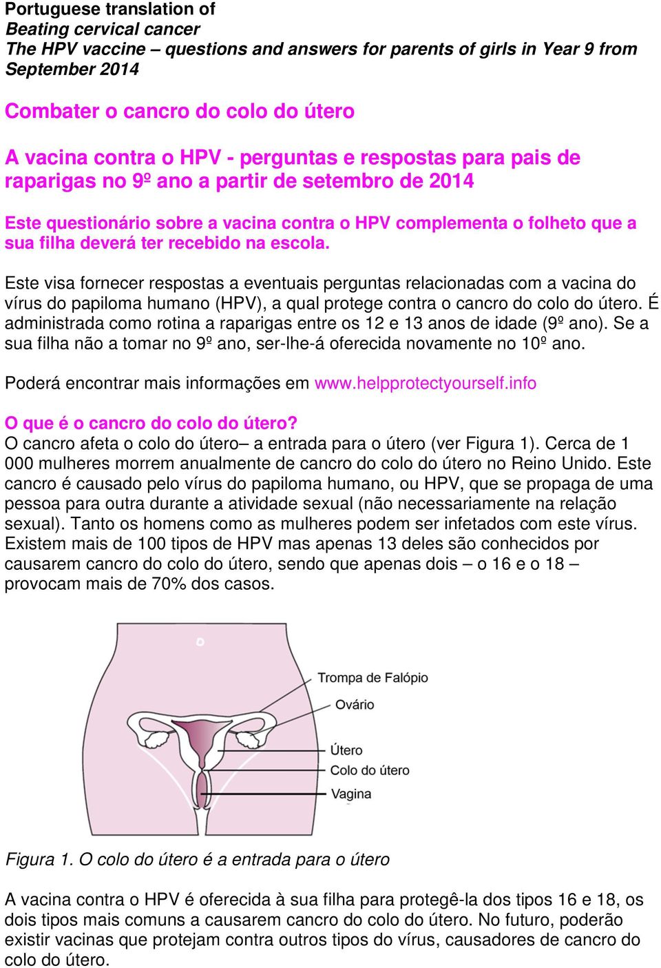 Este visa fornecer respostas a eventuais perguntas relacionadas com a vacina do vírus do papiloma humano (HPV), a qual protege contra o cancro do colo do útero.