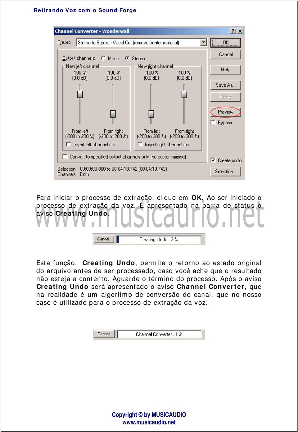 Esta função, Creating Undo, permite o retorno ao estado original do arquivo antes de ser processado, caso você ache que o resultado