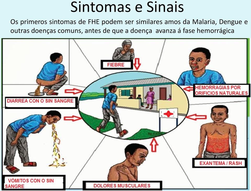 Malaria, Dengue e outras doenças comuns,