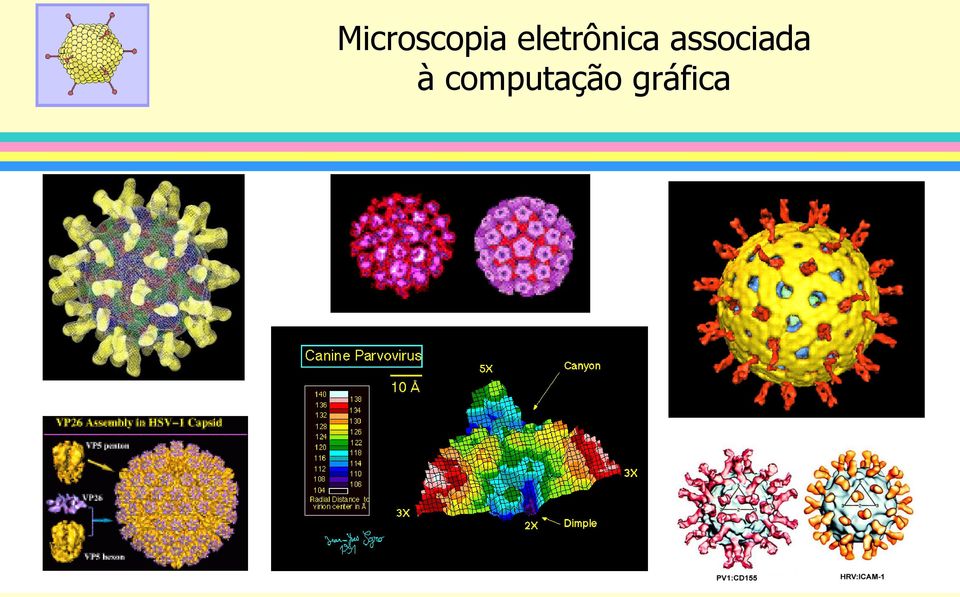 associada à