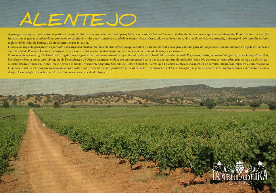 Ocupando cerca de um terço da área do território português, o Alentejo é hoje uma das maiores regiões vitivinícolas de Portugal. Contudo, nem sempre foi assim.
