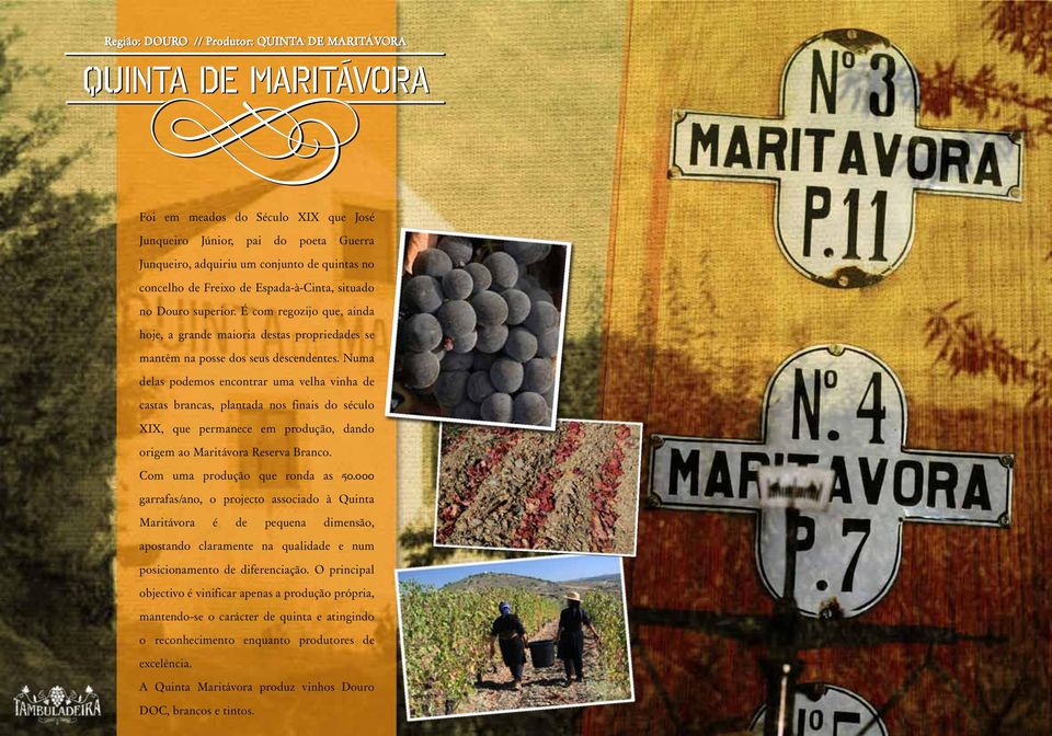 Numa delas podemos encontrar uma velha vinha de castas brancas, plantada nos finais do século XIX, que permanece em produção, dando origem ao Maritávora Reserva Branco.