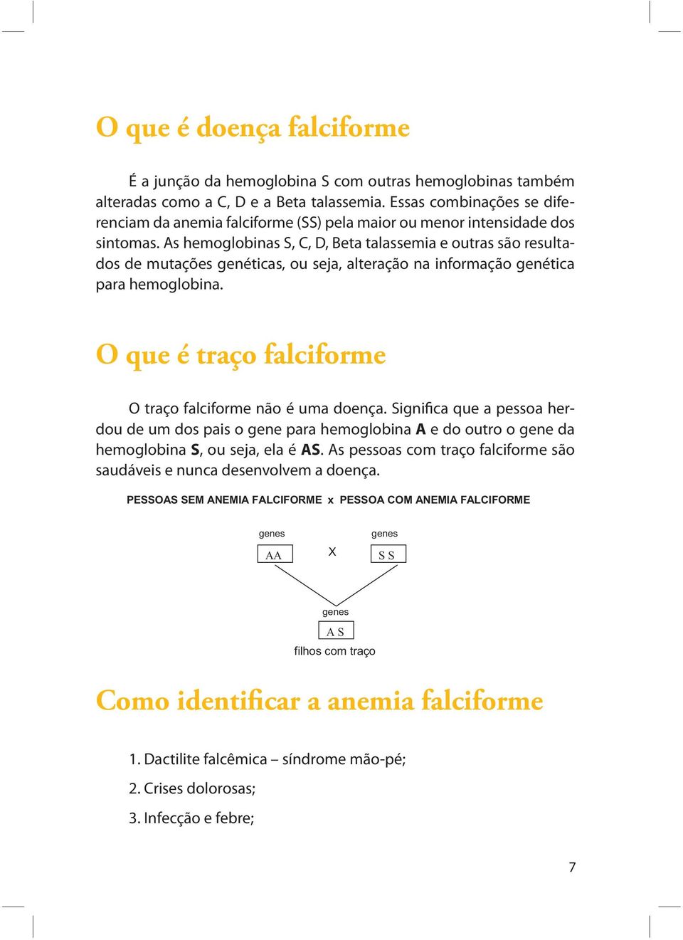 As hemoglobinas S, C, D, Beta talassemia e outras são resultados de mutações genéticas, ou seja, alteração na informação genética para hemoglobina.