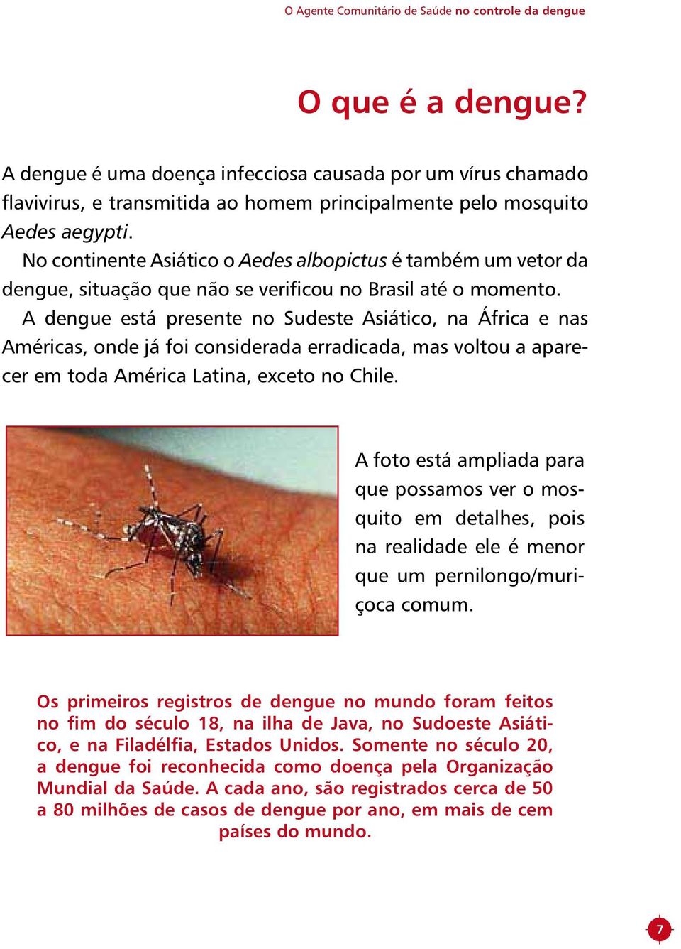 No continente Asiático o Aedes albopictus é também um vetor da dengue, situação que não se verificou no Brasil até o momento.