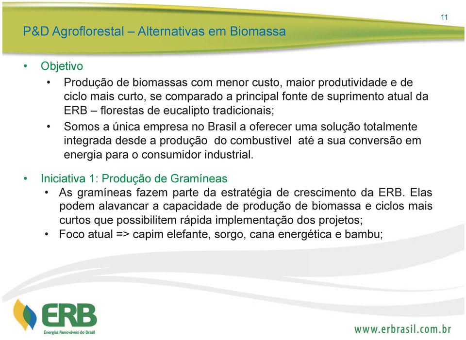 a sua conversão em energia para o consumidor industrial. Iniciativa 1: Produção de Gramíneas As gramíneas fazem parte da estratégia de crescimento da ERB.