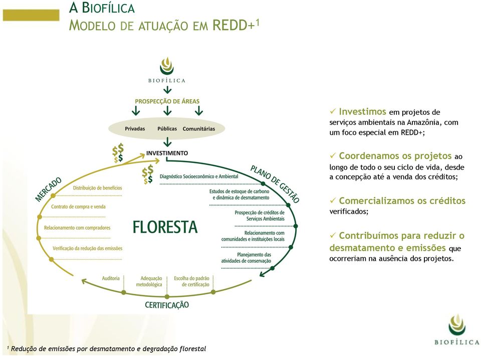 a venda dos créditos; ü Comercializamos os créditos verificados; ü Contribuímos para reduzir o desmatamento e