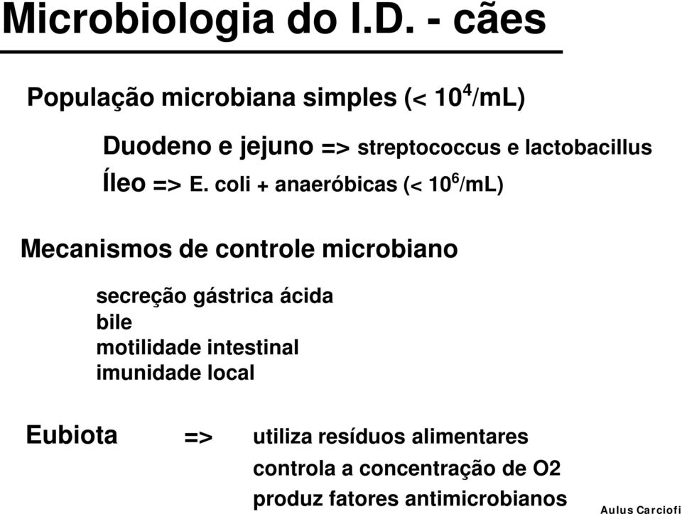 lactobacillus Íleo => E.