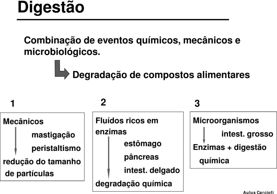 redução do tamanho de partículas Fluídos ricos em enzimas estômago pâncreas