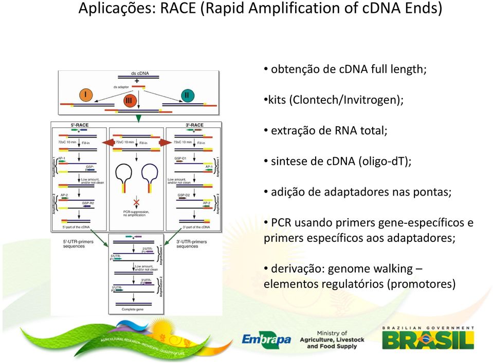 adição de adaptadores nas pontas; PCR usando primers gene-específicos e primers