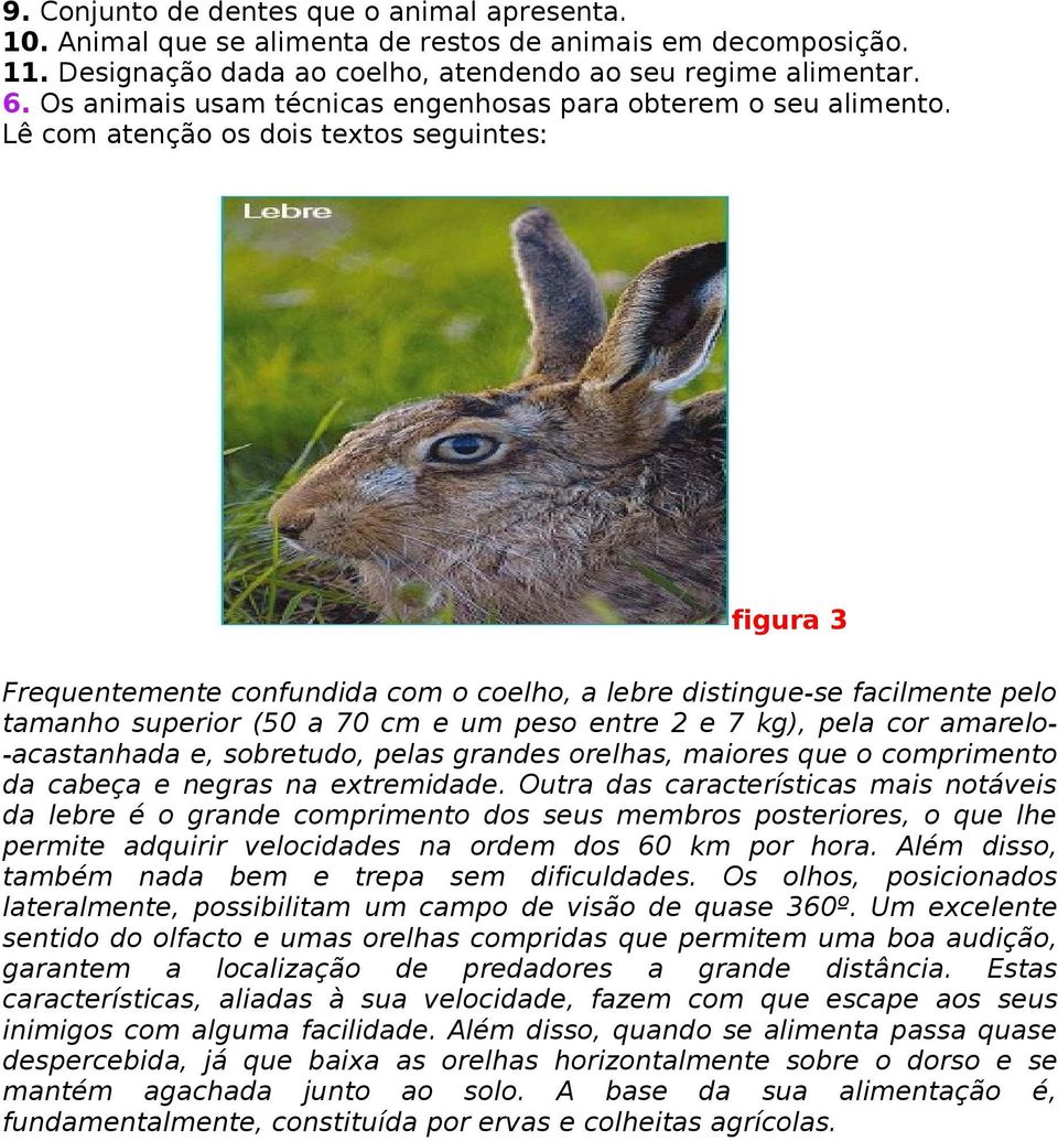 Lê com atenção os dois textos seguintes: figura 3 Frequentemente confundida com o coelho, a lebre distingue-se facilmente pelo tamanho superior (50 a 70 cm e um peso entre 2 e 7 kg), pela cor