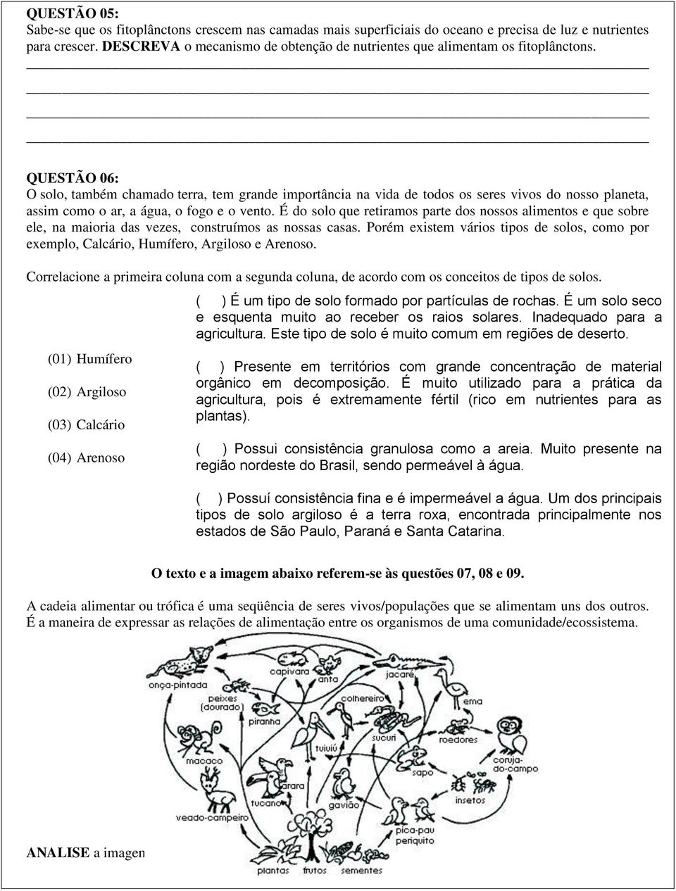 QUESTÃO 06: O solo, também chamado terra, tem grande importância na vida de todos os seres vivos do nosso planeta, assim como o ar, a água, o fogo e o vento.