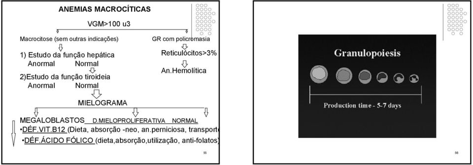 Reticulócitos>3% An.Hemolítica MIELOGRAMA MEGALOBLASTOS D.MIELOPROLIFERATIVA NORMAL DÉF.VIT.