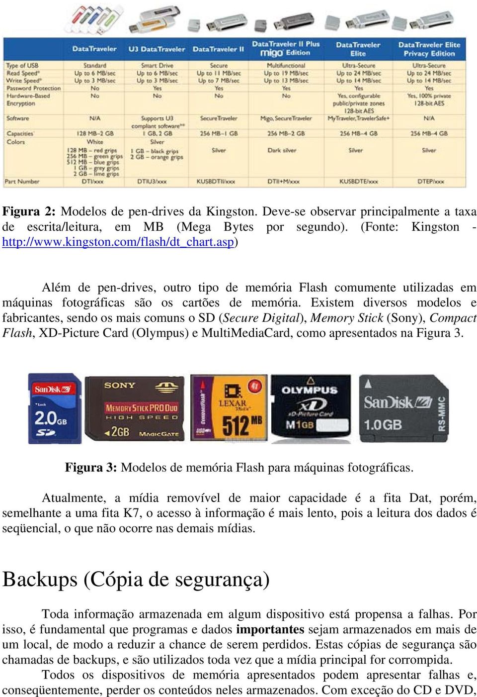 Existem diversos modelos e fabricantes, sendo os mais comuns o SD (Secure Digital), Memory Stick (Sony), Compact Flash, XD-Picture Card (Olympus) e MultiMediaCard, como apresentados na Figura 3.