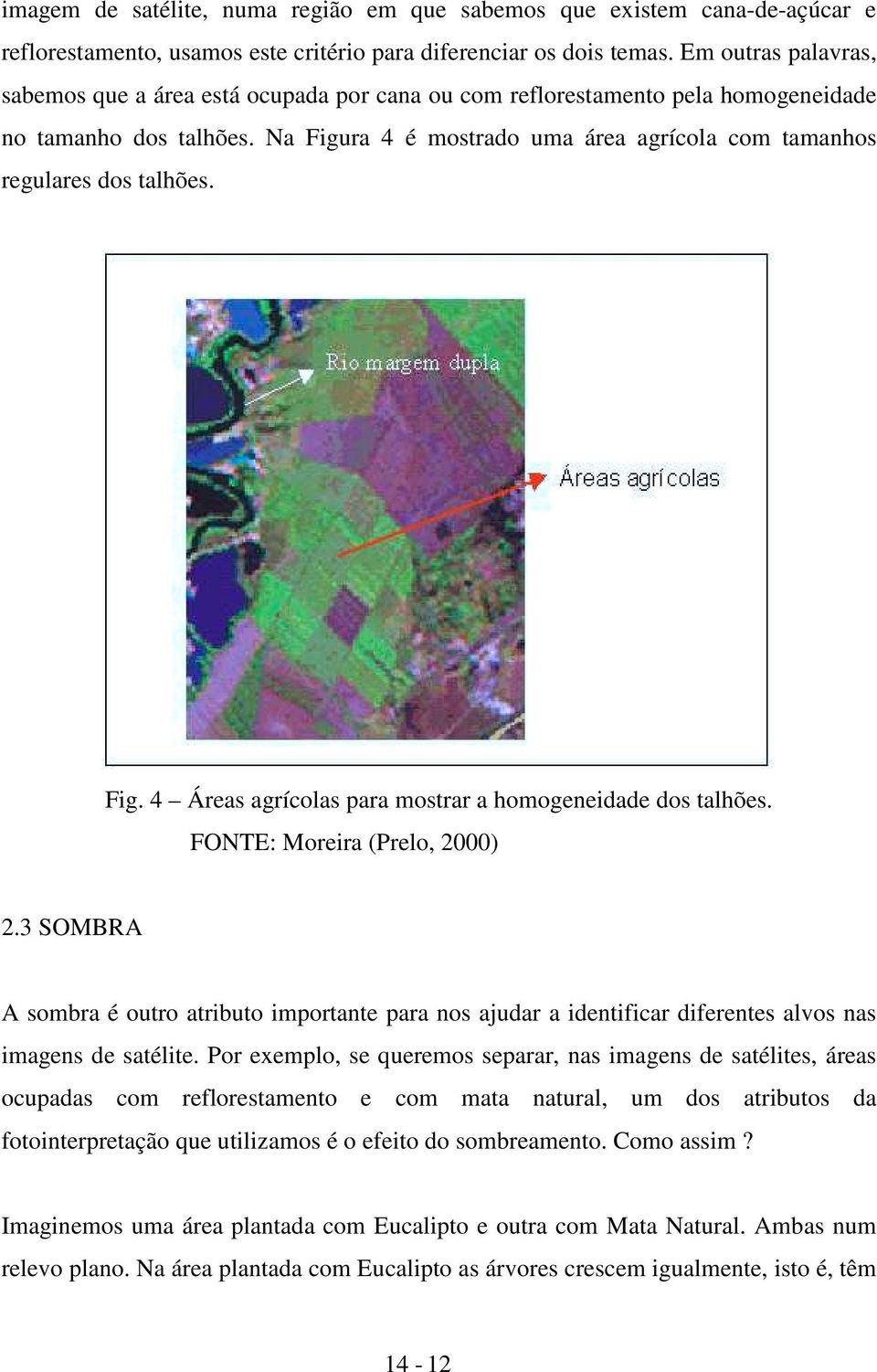 Na Figura 4 é mostrado uma área agrícola com tamanhos regulares dos talhões. Fig. 4 Áreas agrícolas para mostrar a homogeneidade dos talhões. FONTE: Moreira (Prelo, 2000) 2.