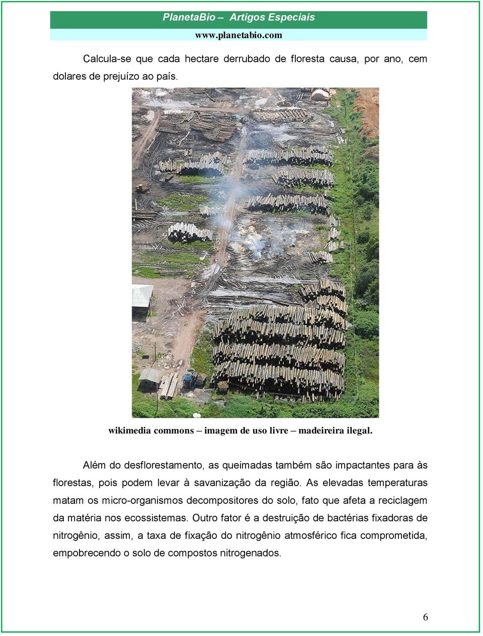 Além do desflorestamento, as queimadas também são impactantes para às florestas, pois podem levar à savanização da região.
