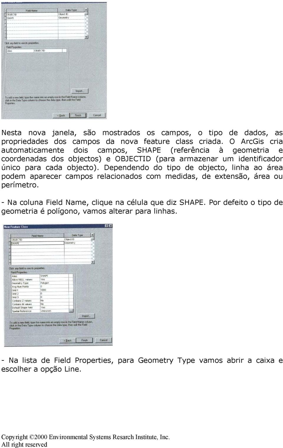 cada objecto). Dependendo do tipo de objecto, linha ao área podem aparecer campos relacionados com medidas, de extensão, área ou perímetro.