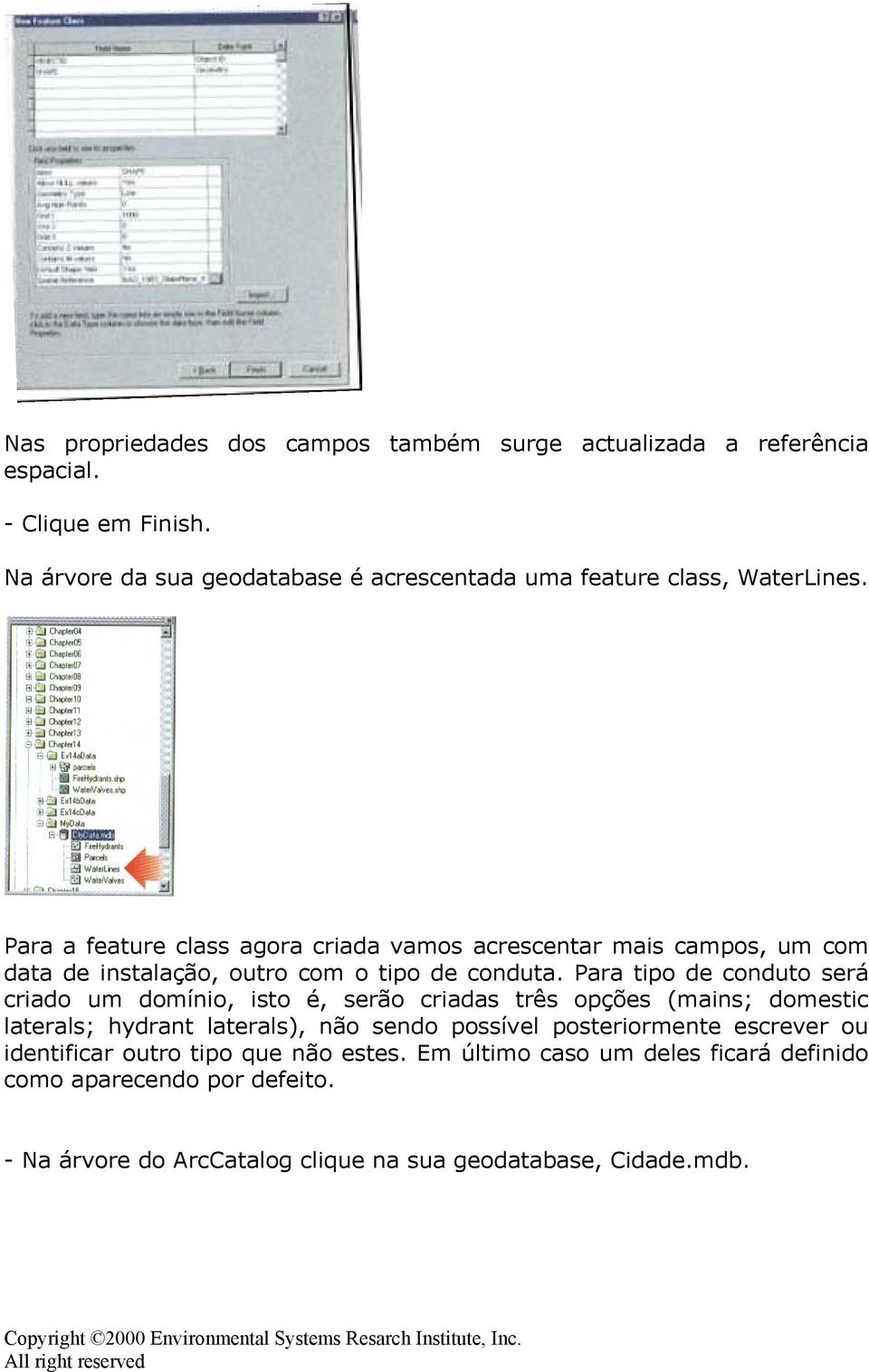 Para a feature class agora criada vamos acrescentar mais campos, um com data de instalação, outro com o tipo de conduta.