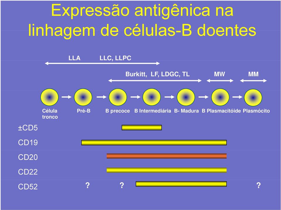 ±CD5 CD19 CD20 Célula tronco Pré-B B precoce B