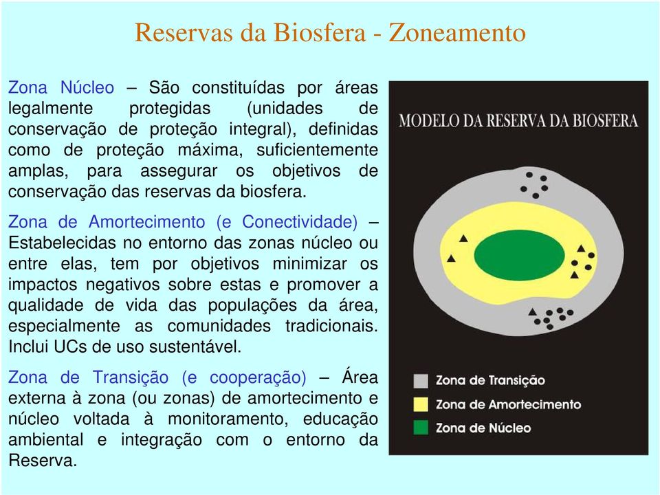 Zona de Amortecimento (e Conectividade) Estabelecidas no entorno das zonas núcleo ou entre elas, tem por objetivos minimizar os impactos negativos sobre estas e promover a qualidade