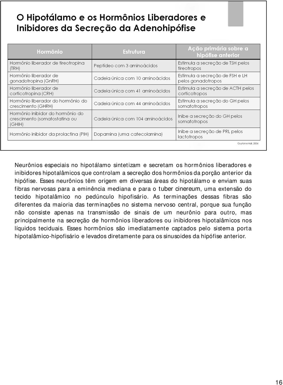 As terminações dessas fibras são diferentes da maioria das terminações no sistema nervoso central, porque sua função não consiste apenas na transmissão de sinais de um neurônio para outro, mas