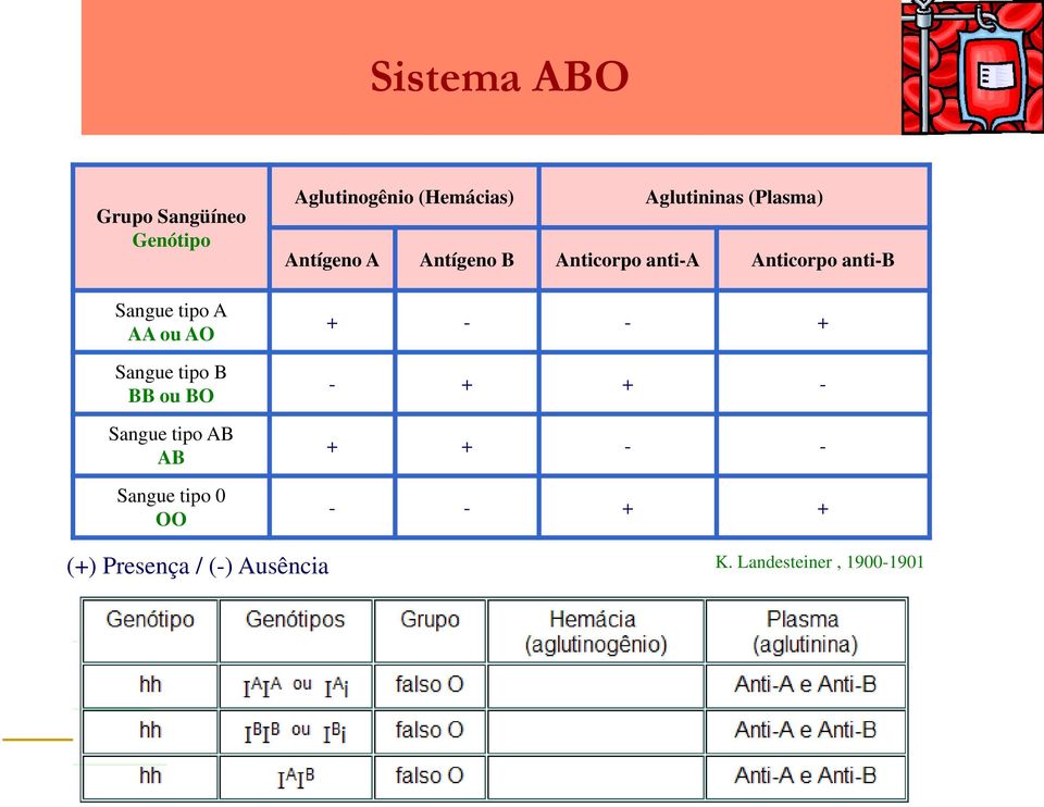 Aglutininas (Plasma) Antígeno A Antígeno B Anticorpo anti-a Anticorpo anti-b