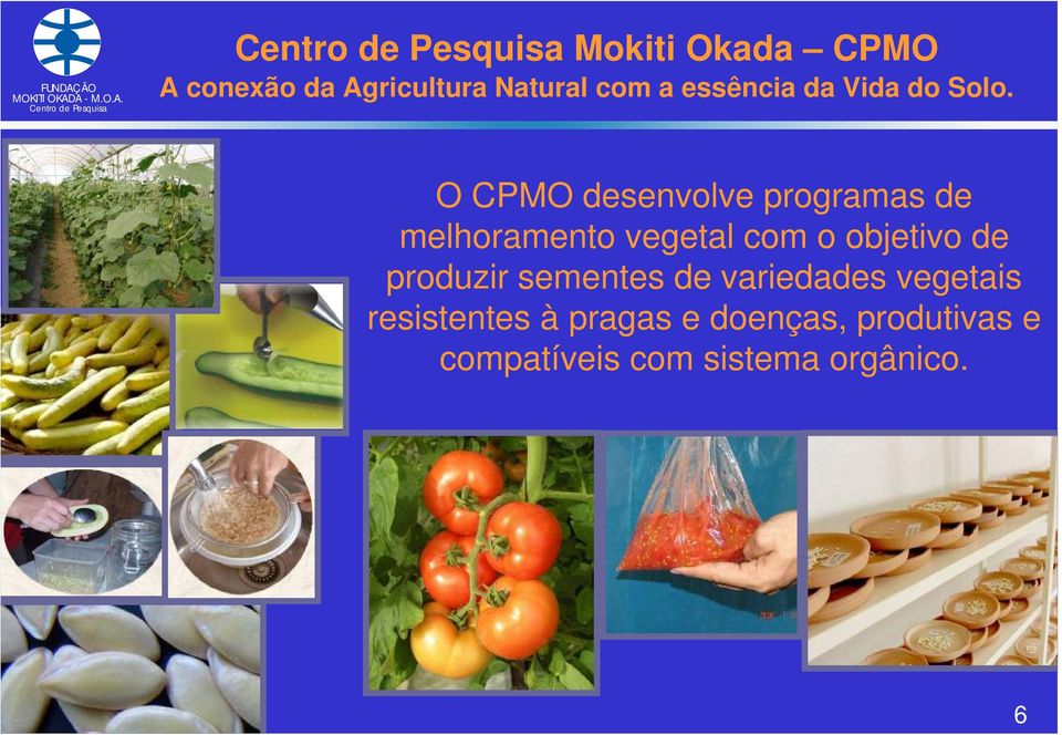 O CPMO desenvolve programas de melhoramento vegetal com o objetivo