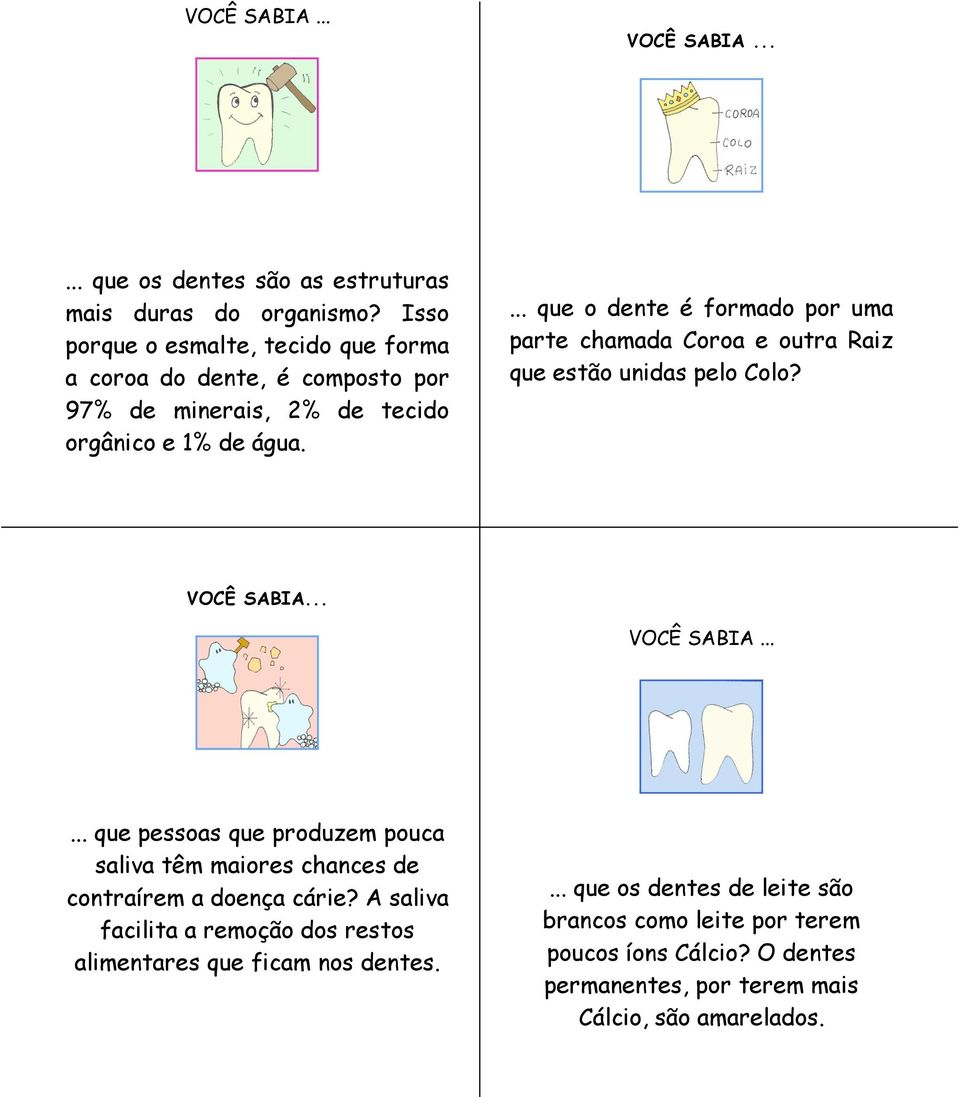 ... que o dente é formado por uma parte chamada Coroa e outra Raiz que estão unidas pelo Colo?