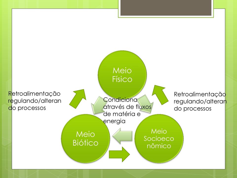 fluxos de matéria e energia Meio Socioeco