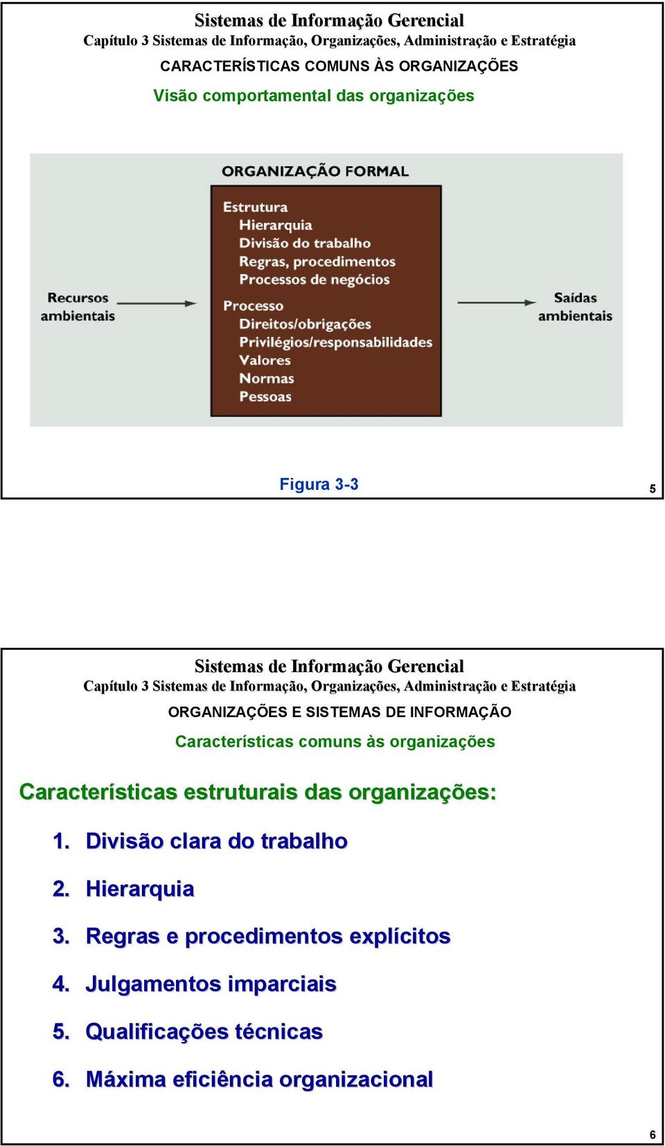 Hierarquia ORGANIZAÇÕES E SISTEMAS DE INFORMAÇÃO Características comuns às organizações 3.