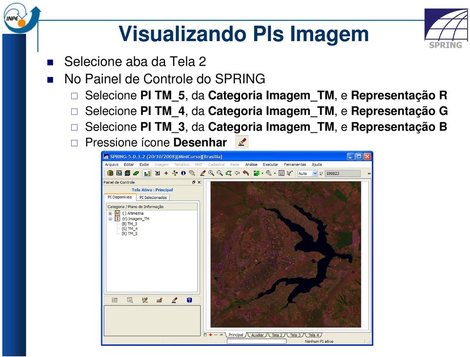 Selecione PI TM_4, da Categoria Imagem_TM, e Representação G Selecione