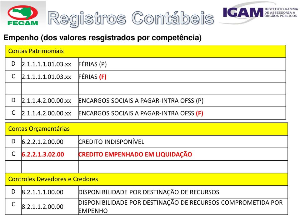 2.2.1.2.00.00 CREDITO INDISPONÍVEL C 6.2.2.1.3.02.00 CREDITO EMPENHADO EM LIQUIDAÇÃO Controles Devedores e Credores D 8.2.1.1.1.00.00 C 8.