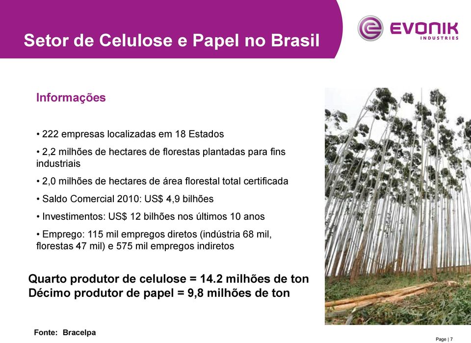 Investimentos: US$ 12 bilhões nos últimos 10 anos Emprego: 115 mil empregos diretos (indústria 68 mil, florestas 47 mil) e 575 mil