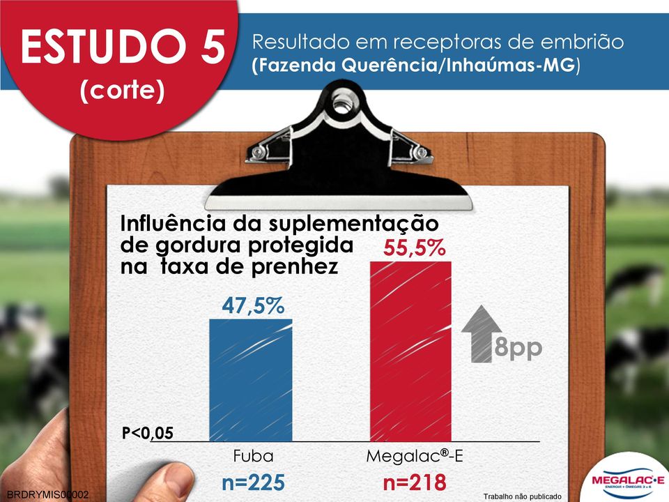 suplementação de gordura protegida 55,5% na taxa de