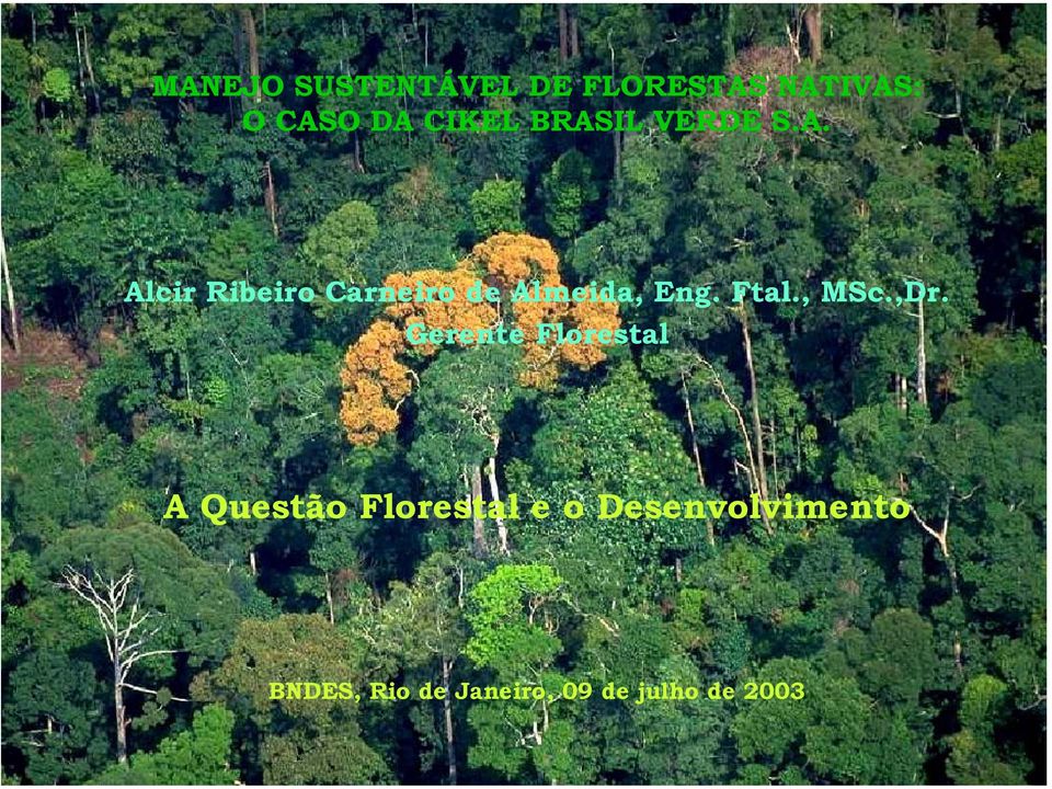 Gerente Florestal A Questão Florestal