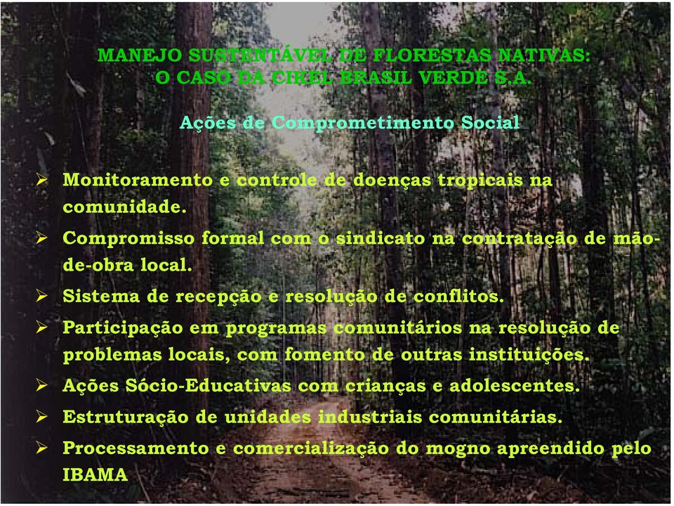 Participação em programas comunitários na resolução de problemas locais, com fomento de outras instituições.