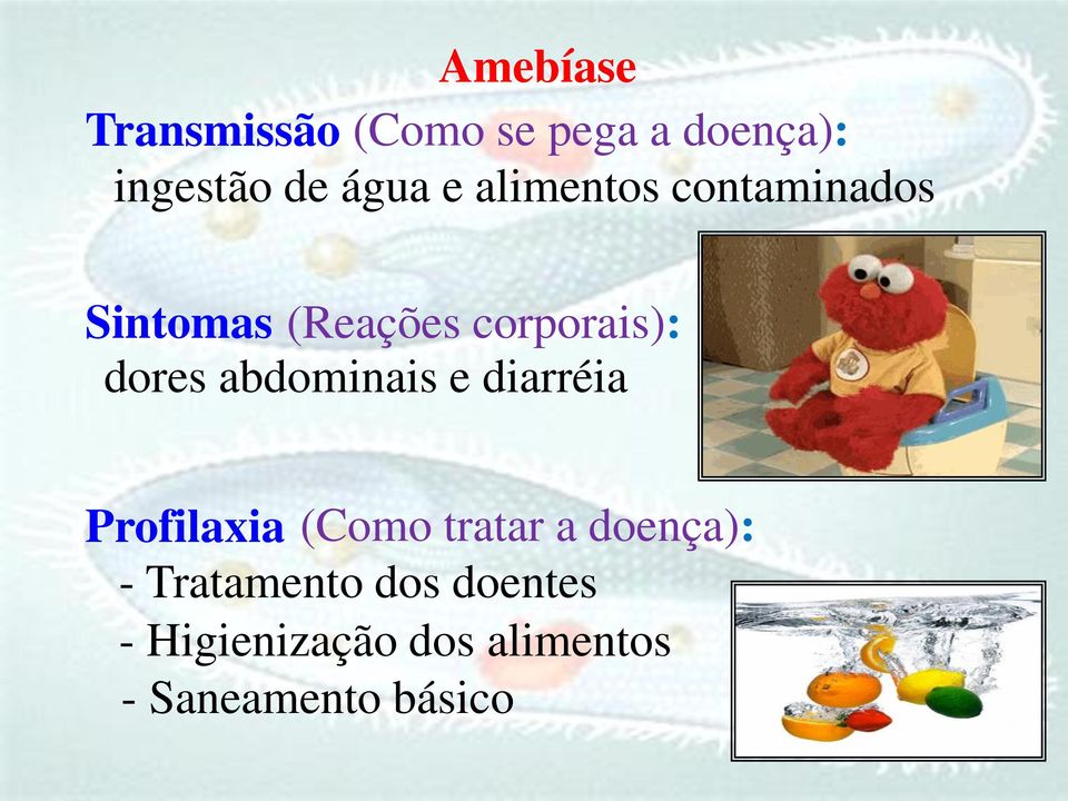 abdominais e diarréia Profilaxia (Como tratar a doença): -
