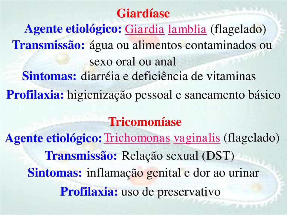 higienização pessoal e saneamento básico Tricomoníase Agente etiológico:trichomonas vaginalis