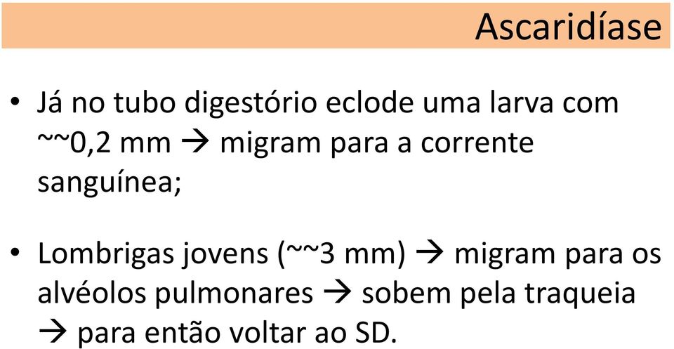 Lombrigas jovens (~~3 mm) migram para os alvéolos